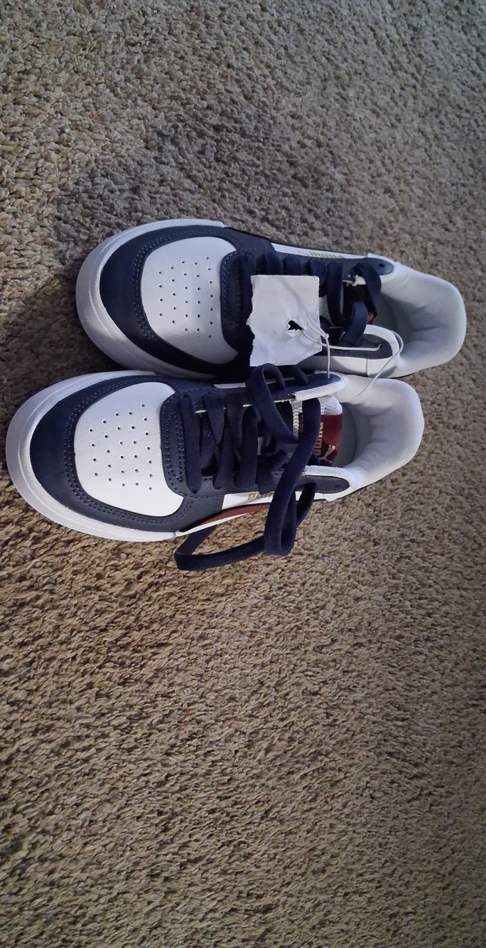 Puma Men's Low-Top Sneakers in Navy and White